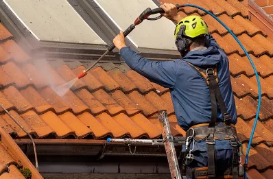 Démoussage et hydrofuge de toiture à Wadelincourt